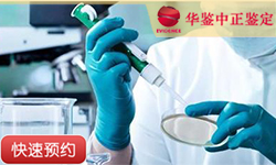 淮安父系亲缘鉴定